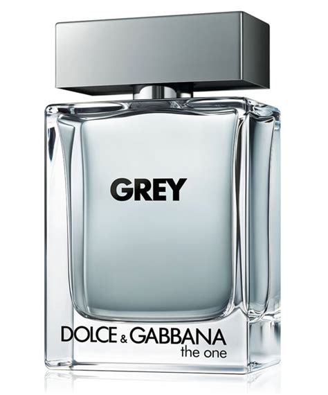 the grey dolce gabbana|one grey by dolce and gabbana.